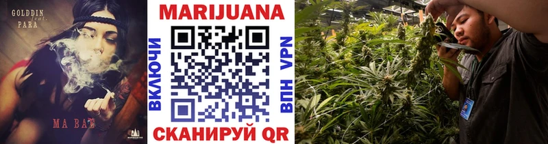 Бошки Шишки SATIVA & INDICA Могоча